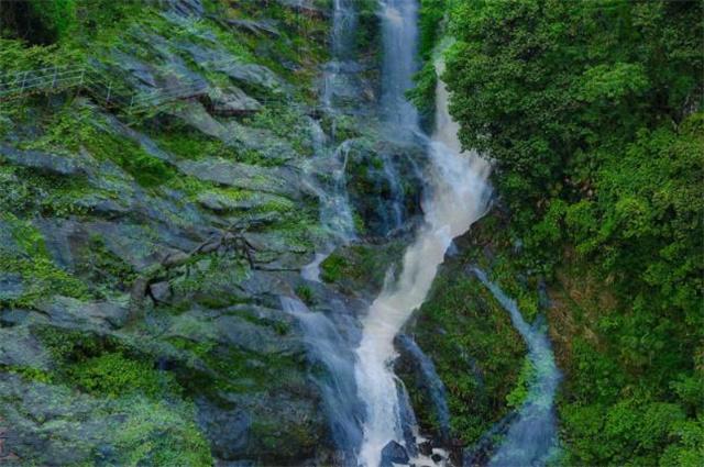 限量500张！59.9元玩转湖州长颈鹿庄园